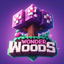WanderWoodSMP icon