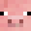 Duck SMP icon