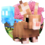 Rabbit Network icon