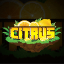 Citrus icon